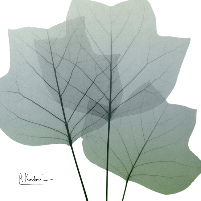 40299 MA Light Green I, available in multiple sizes