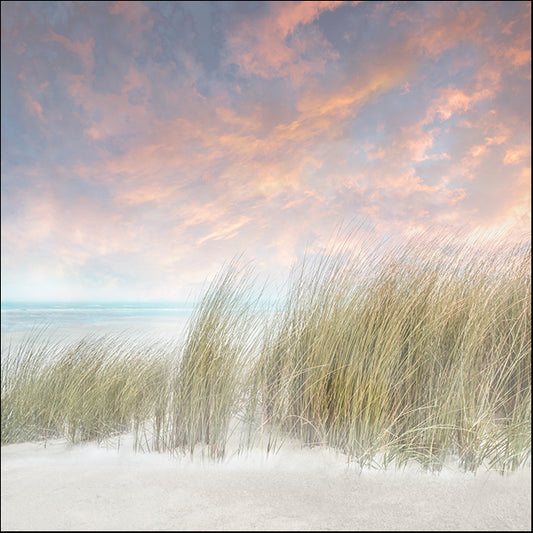 40299gg Windswept II, by Mike Calascibetta, available in multiple sizes