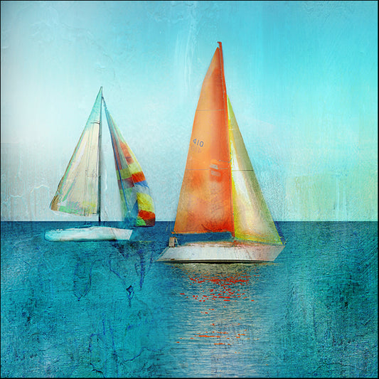 40436gg Color Tint Sail, by Nan, available in multiple sizes