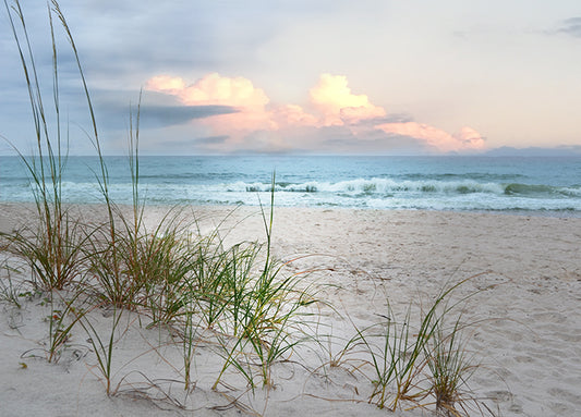 40454gg Beach Driftwood, by Nan, available in multiple sizes