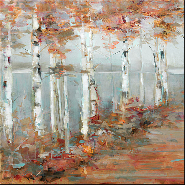 40575gg Birch Walk I, by Sally Swatland, available in multiple sizes
