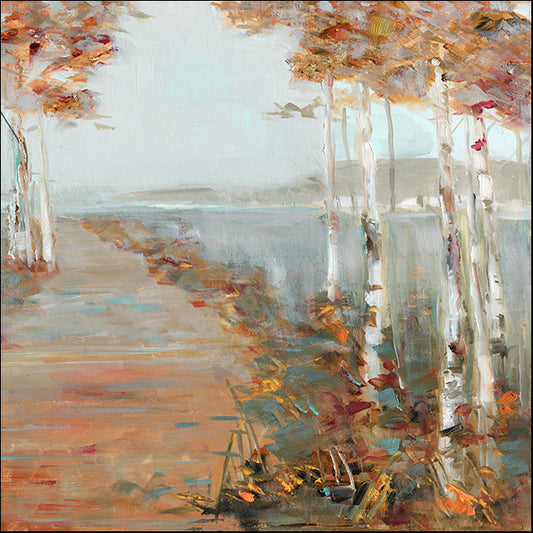 40576gg Birch Walk II, by Sally Swatland, available in multiple sizes