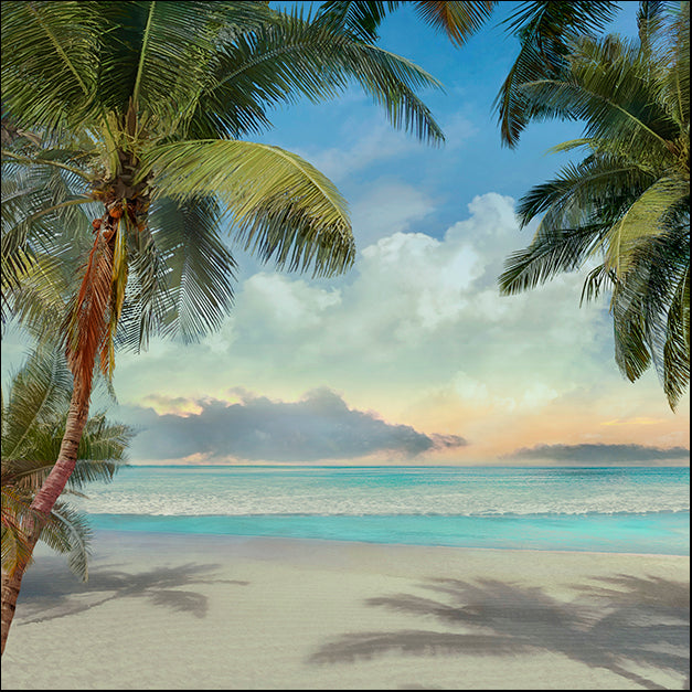 40596gg A Found Paradise I, by Mike Calascibetta, available in multiple sizes