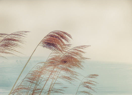 41567gg Windy I, by Irene Weisz, available in multiple sizes