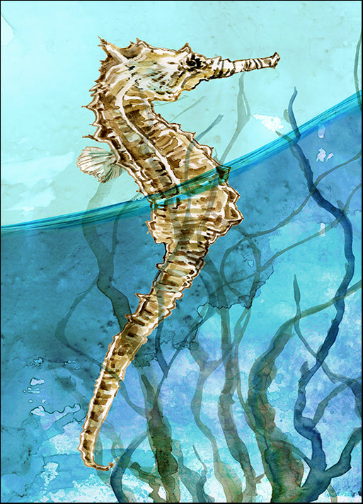41877gg Delray Seahorse I, by Carol Robinson, available in multiple sizes