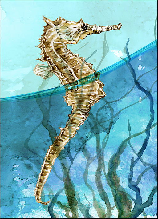 41877gg Delray Seahorse I, by Carol Robinson, available in multiple sizes