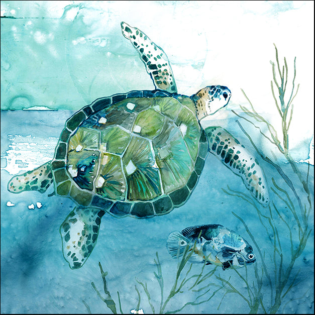 41879gg Delray Sea Turtle I, by Carol Robinson, available in multiple sizes
