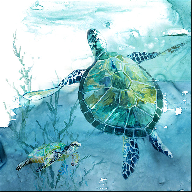 41880gg Delray Sea Turtle II, by Carol Robinson, available in multiple sizes