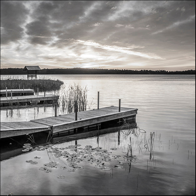 41928gg Soft Summer Sunrise, by Danita Delimont, available in multiple sizes
