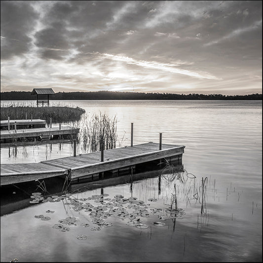 41928gg Soft Summer Sunrise, by Danita Delimont, available in multiple sizes