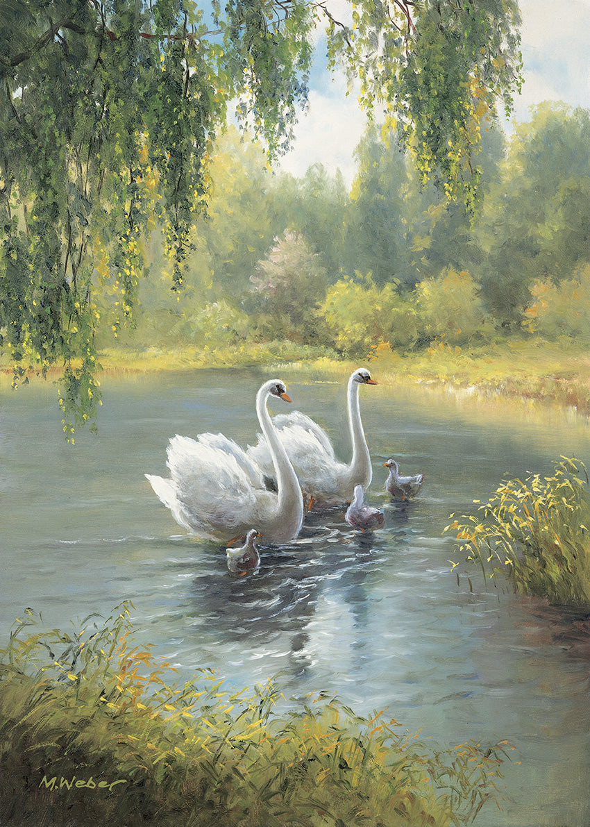 4912 MA Swan Family II, available in multiple sizes