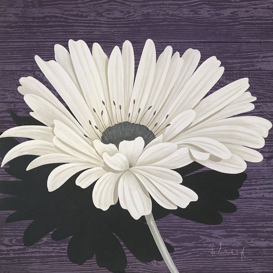 49291 MA Marguerite I, available in multiple sizes