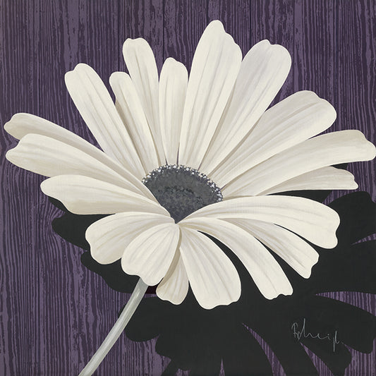 49292 MA Marguerite II, available in multiple sizes - Chamton