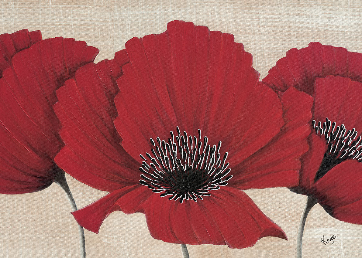 49307 MA Red Poppy, available in multiple sizes