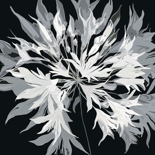 62167 MA Radiance I, available in multiple sizes - Chamton