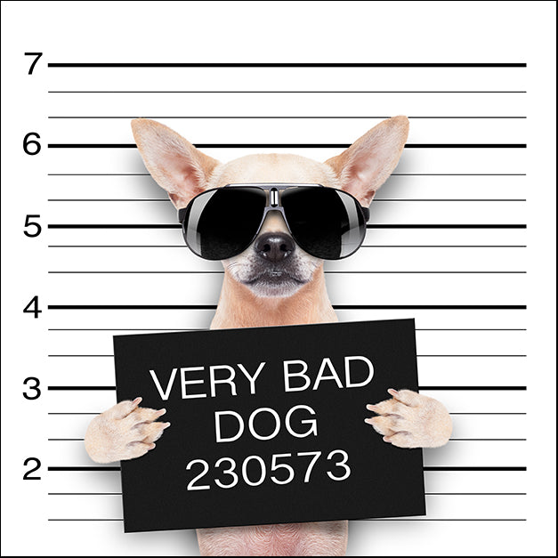 72969979 Jail Dog I, available in multiple sizes