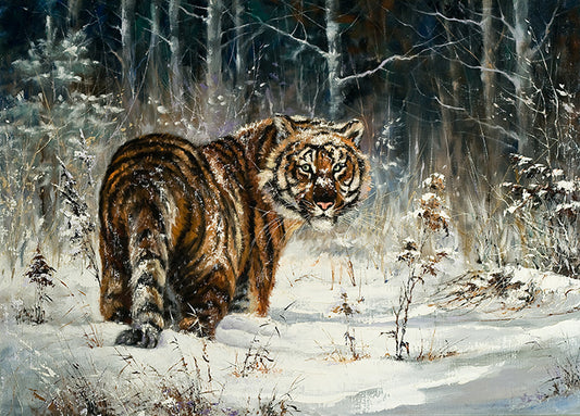 7615395 Tiger, available in multiple sizes