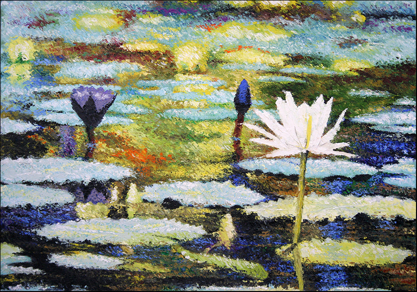 7695343 Flower pond, available in multiple sizes