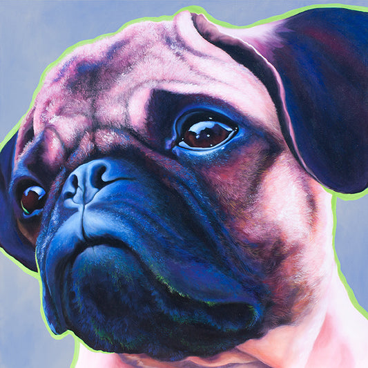 82486 MA Blue Bulldog, available in multiple sizes