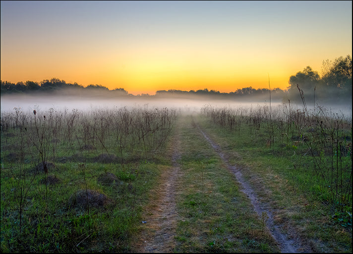 85065632 Morning mist and the field road near Kharkiv, available in multiple sizes