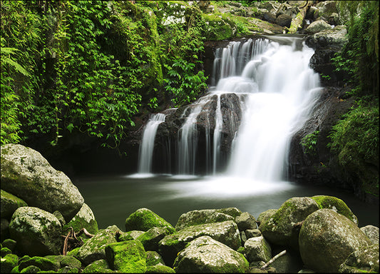 86953208 Lamington National Park, Waterfall, gold coast hinterlands, NSW, available in multiple sizes