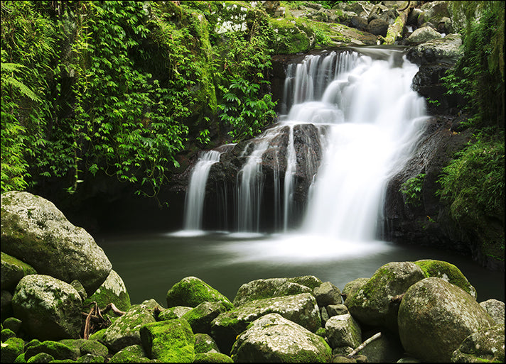 86953208 Lamington National Park, Waterfall, gold coast hinterlands, NSW, available in multiple sizes