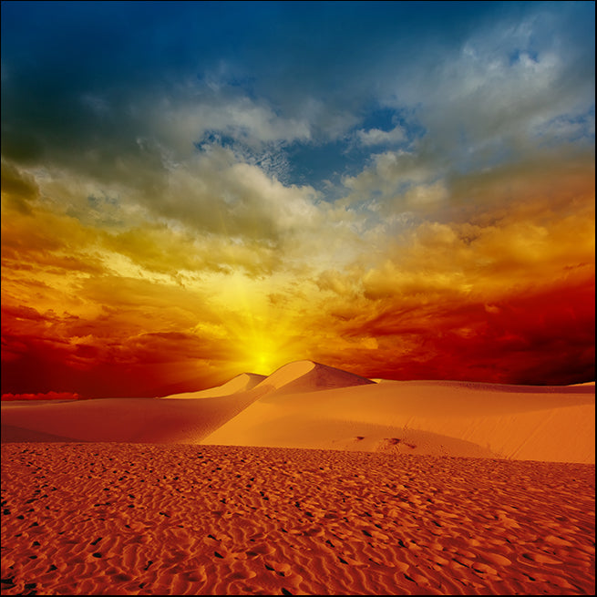 9450204 Desert Sunset, available in multiple sizes