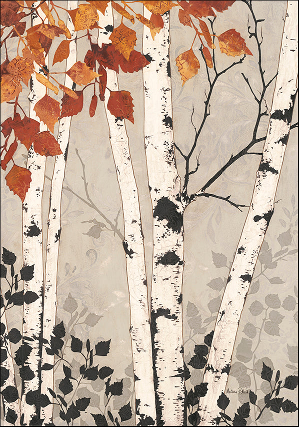 A6111 Birch Tapestry, available in multiple sizes - Chamton