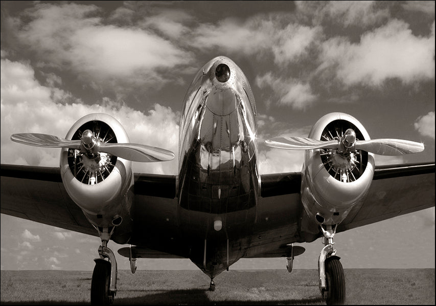 A9742 Runway Glory, available in multiple sizes