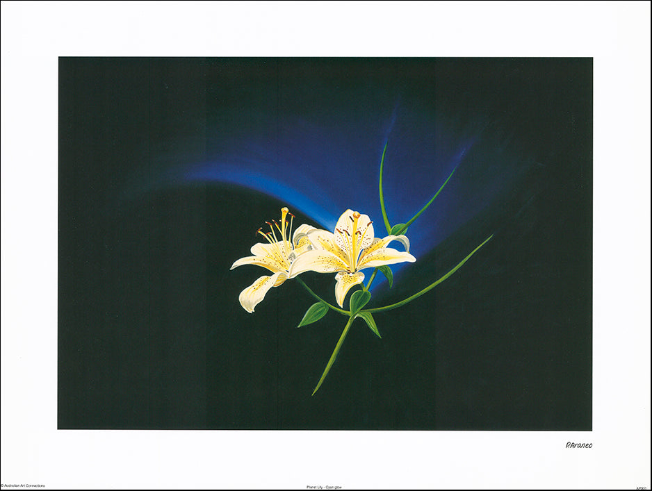 AAC AP001 Planet Lily - Cyan Glow by Phyllis Araneo 60x45cm on paper