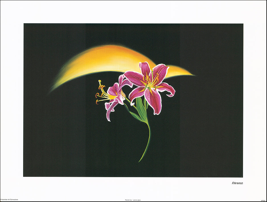 AAC AP003 Planet Lily - Lemon Glow by Phyllis Araneo 60x45cm on paper