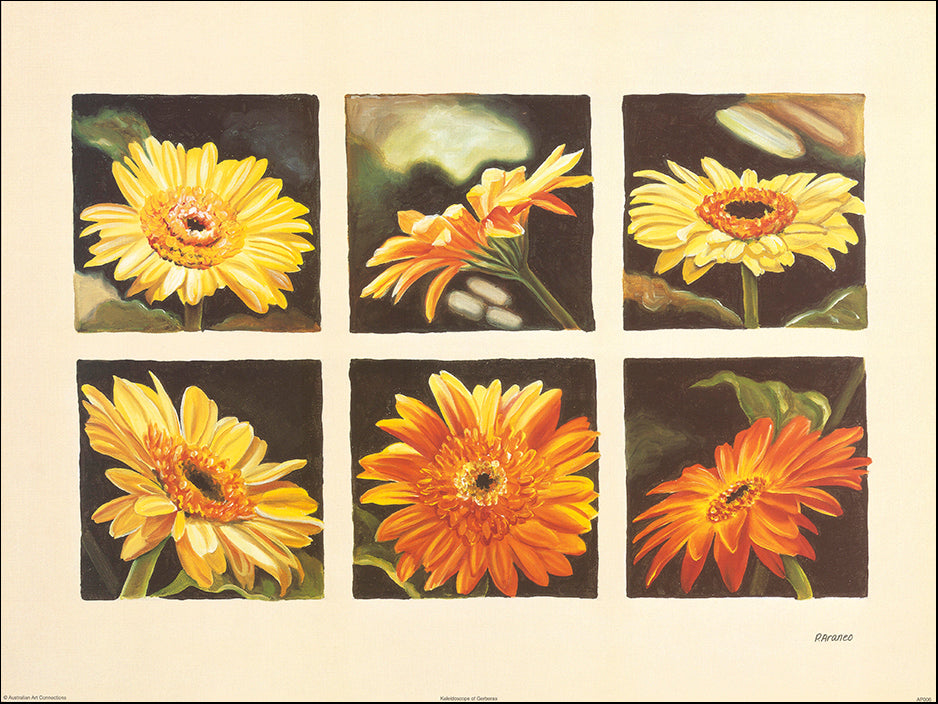 AAC AP006 Kaleidoscope of Gerberas by Phyllis Araneo 60x45cm on paper - Chamton