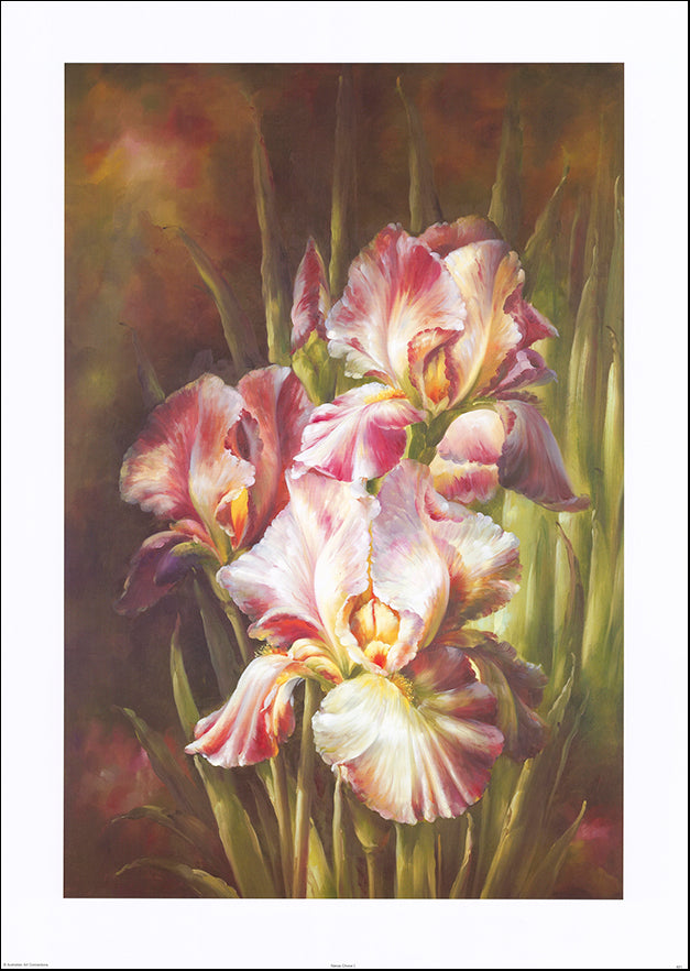 AAC AV01 Nanas Choice 1 by Anonymous multiple sizes on paper