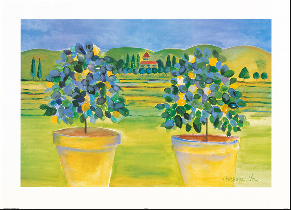 AAC CV2000 Tuscany by Christopher Vine 93x67cm on paper