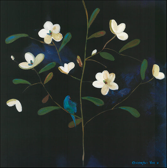 AAC CV2005 Midnight Garden  by Christopher Vine multiple sizes on paper - Chamton