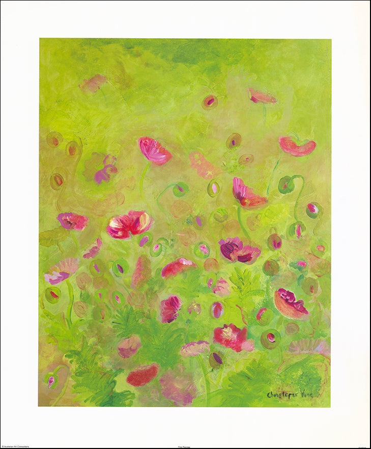 AAC CV2006 Pink Poppies by Christopher Vine 56x68cm on paper