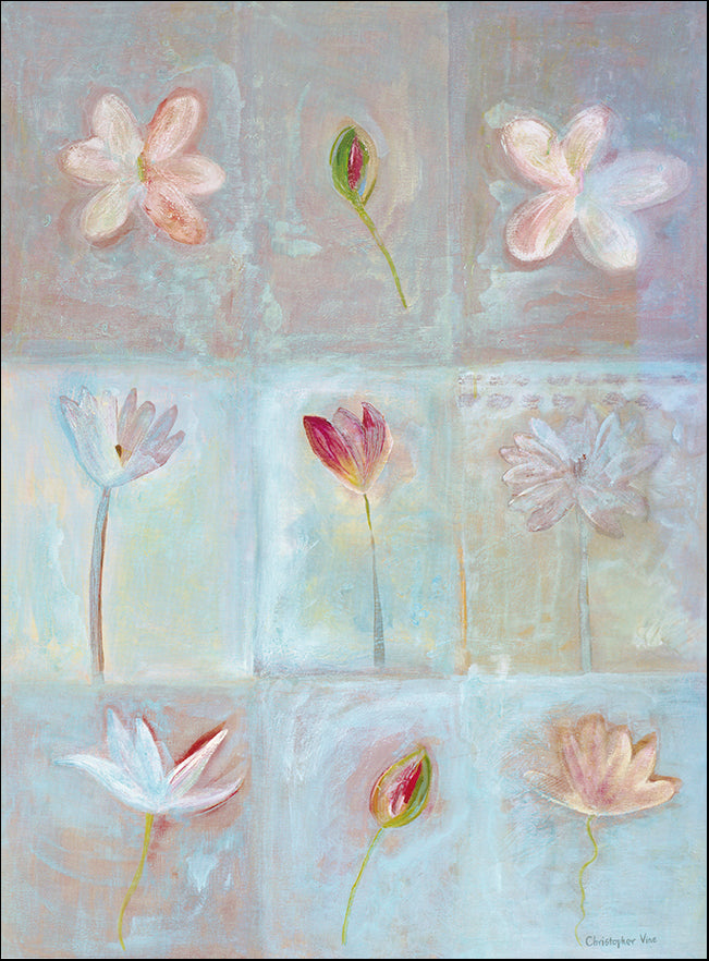 AAC CV2011 Lily Pond by Christopher Vine 56x76cm on paper