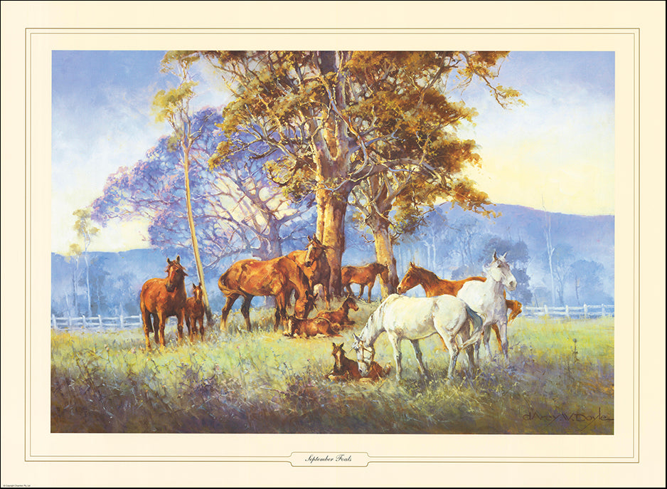 AAC DWD028 September Foals by D'arcy Doyle multiple sizes on paper