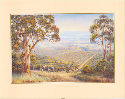 AAC JB63 The Vineyards by John Bradley multiple sizes on paper