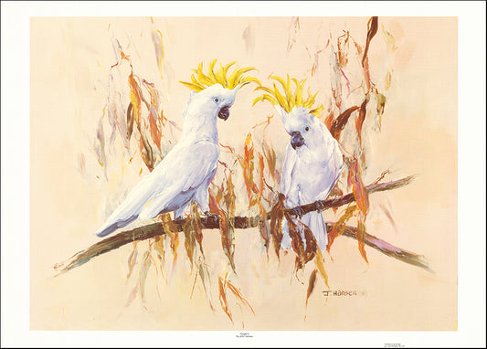 AAC JHO128 Forget it by John Hansen multiple sizes on paper