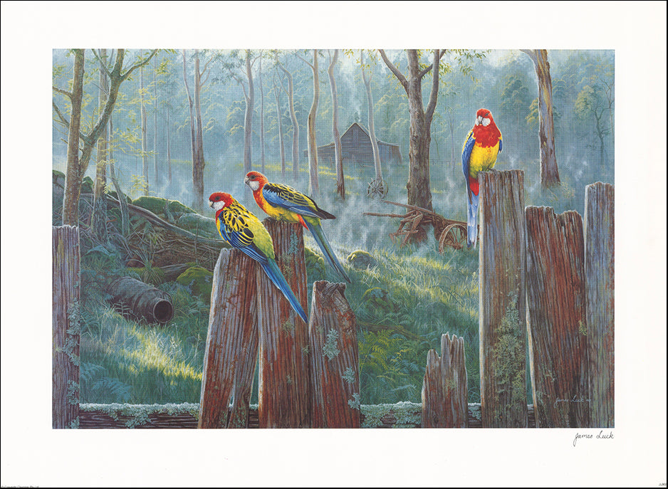 AAC JL002 Wildlife 2 by James Luck multiple sizes on paper