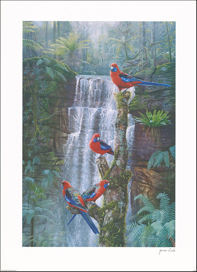 AAC JL003 Wildlife 3 by James Luck multiple sizes on paper - Chamton