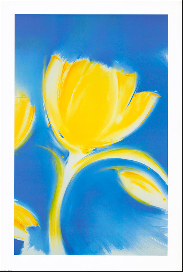 AAC JP001 Gabby's Tulip 1 by Jennifer Penglaze 61x90cm on paper