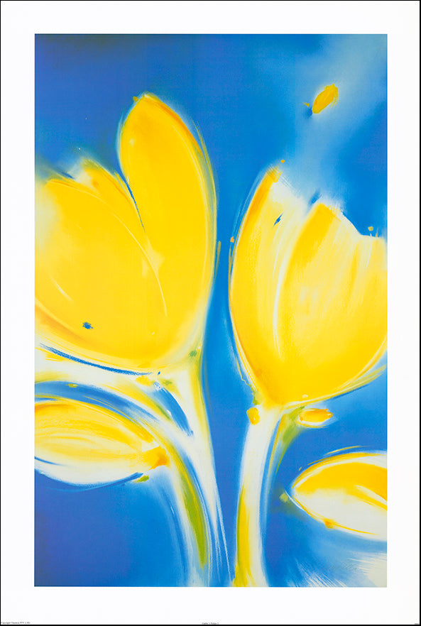 AAC JP002 Gabby's Tulip 2 by Jennifer Penglaze 61x90cm on paper - Chamton