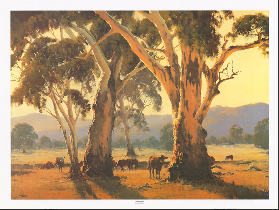 AAC JWO150 Summer Gums by John Wilson multiple sizes on paper