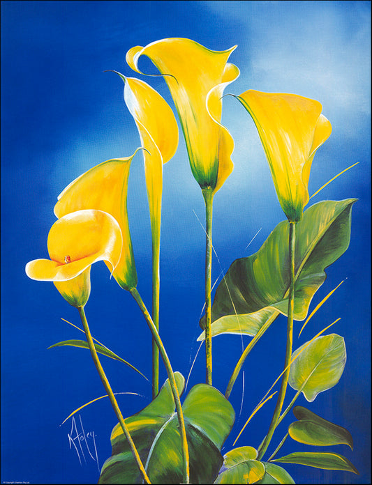 AAC KF004 Mellow Yellow by Karen Foley 60x79cm on paper