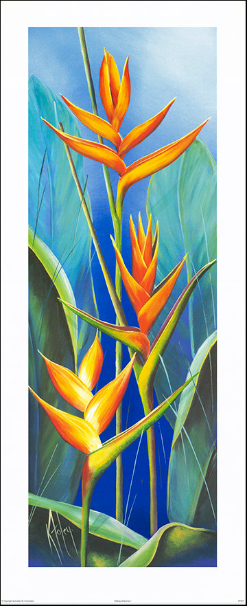 AAC KF007 Striking Heliconias 1 by Karen Foley multiple sizes on paper - Chamton
