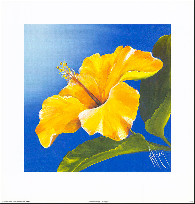 AAC KF020 Golden Sunset by Karen Foley 35x35cm on paper