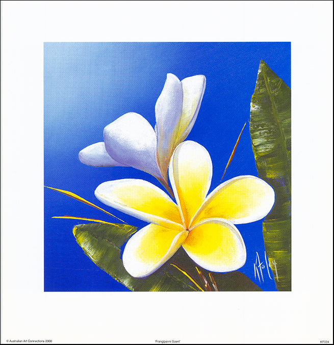 AAC KF024 Frangipanni Scent by Karen Foley 35x35cm on paper
