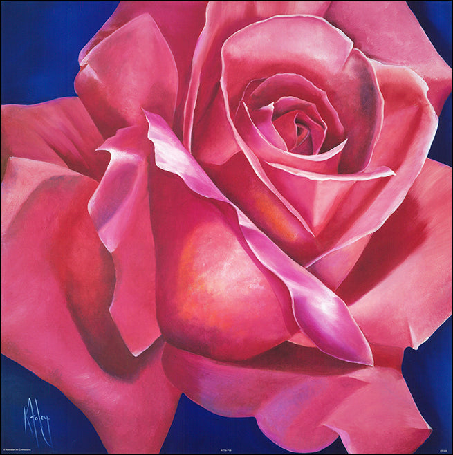 AAC KF029 In the Pink by Karen Foley 69x69cm on paper - Chamton
